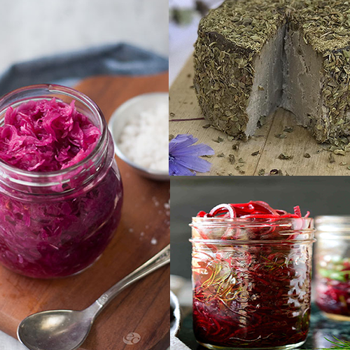 Curso Fermentados y probióticos naturales